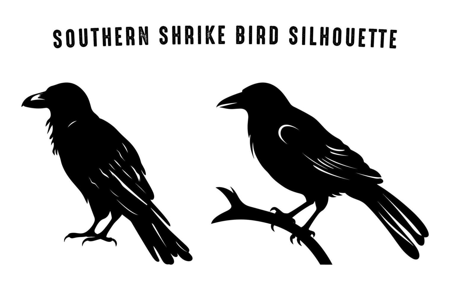 sydlig grå skata fågel silhuett svart klämma konst, skata fågel silhuett isolerat på en vit bakgrund vektor
