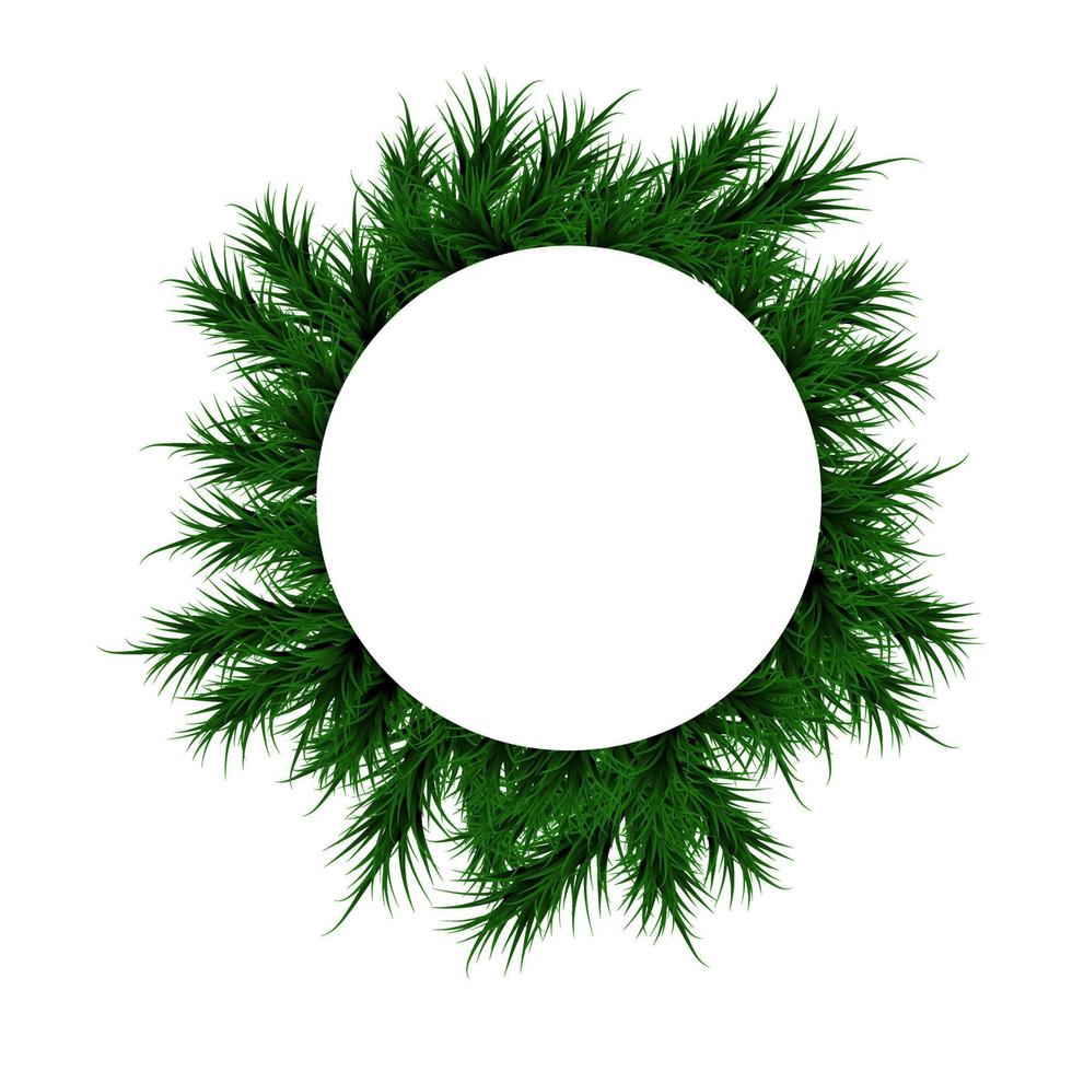 jul och nyår. gott nytt år. täcka med vit etikett och gröna gran grenar. gran gren för text. vektor