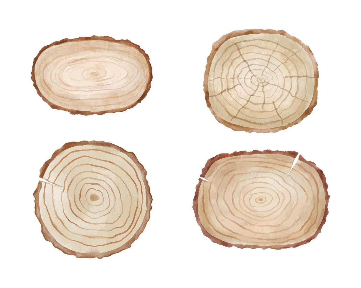 trä- runda och rektangulär panel på träd med textur. vattenfärg illustration isolerat på vit. vektor