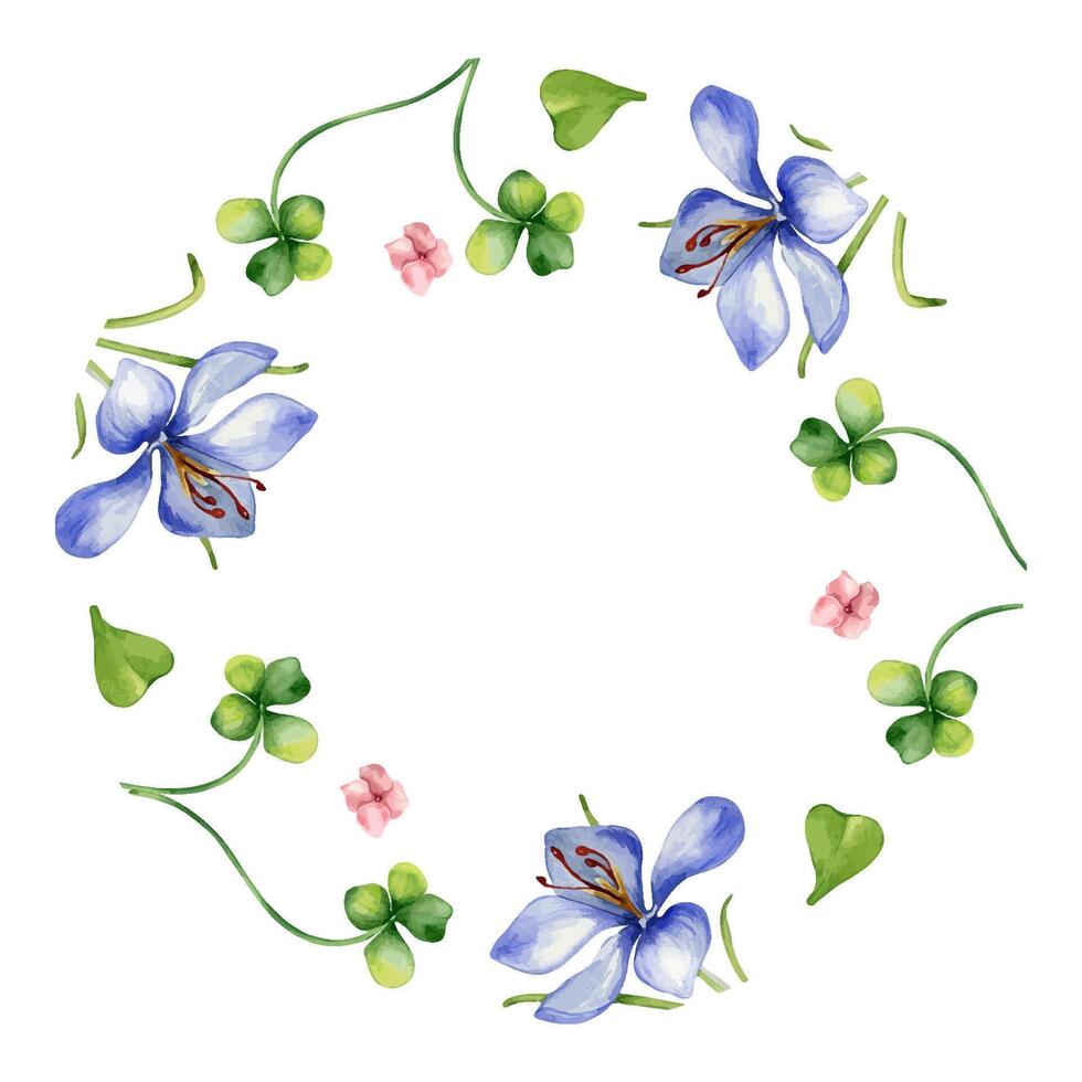 cirkel ram med krokus och klöver vattenfärg illustration isolerat på vit bakgrund. målad vår blommor ram. hand dragen celtic symbol. design element för st. patrick dag, påsk, paket. vektor