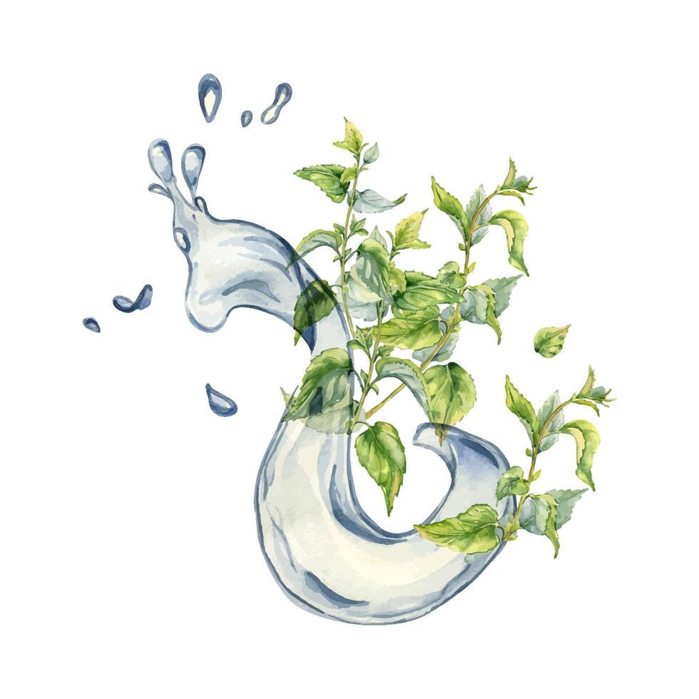 buske av nässlor i vatten stänk. vattenfärg illustration av de ört- växt urtikaria dioica. vatten Vinka och grön blad, sveda växt hand ritade. element för märka, förpackning kosmetisk, apotekare. vektor