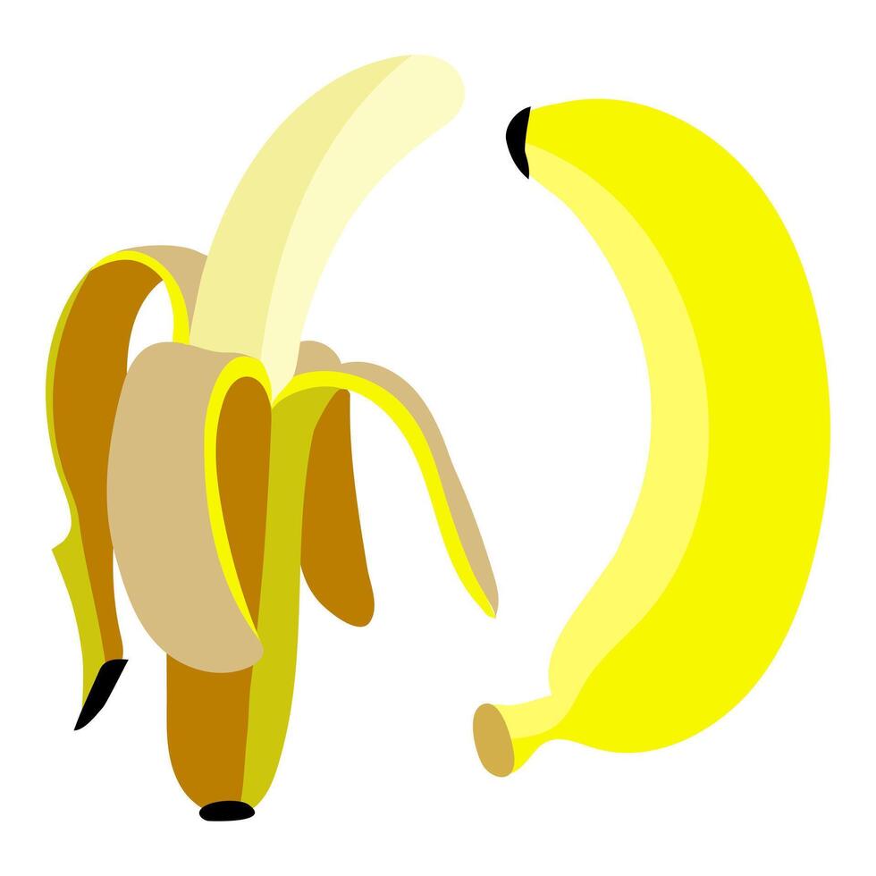 ein einstellen von hell farbig Bananen, öffnen und geschlossen. isoliert Früchte. einer Banane, geschält Banane verschiedene Schatten von Gelb auf Weiß mit Gelb Formen. frisch, natürlich Vitamine. Sammlung vektor