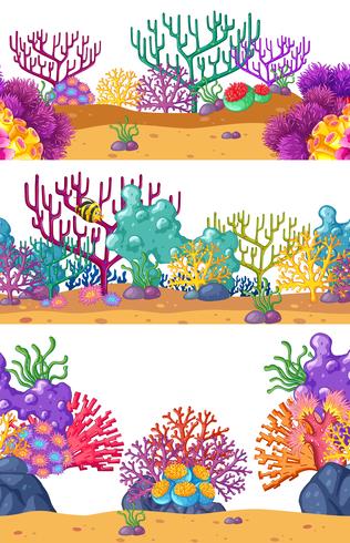 Tre undervatten scener med korallrev vektor