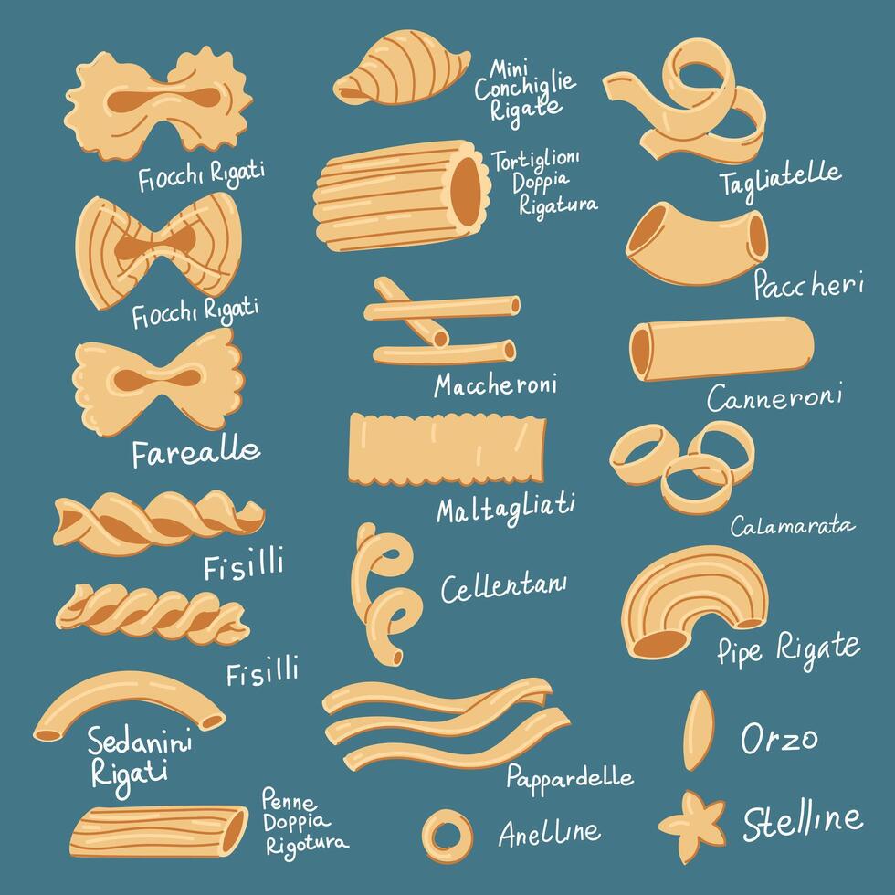 einstellen mit verschiedene Formen von Pasta mit Namen. Sammlung von Illustrationen, geeignet zum das visuell Design von Italienisch Küche. Design, kulinarisch Projekte. viele Typen von Single Pasta im ein Reihe vektor