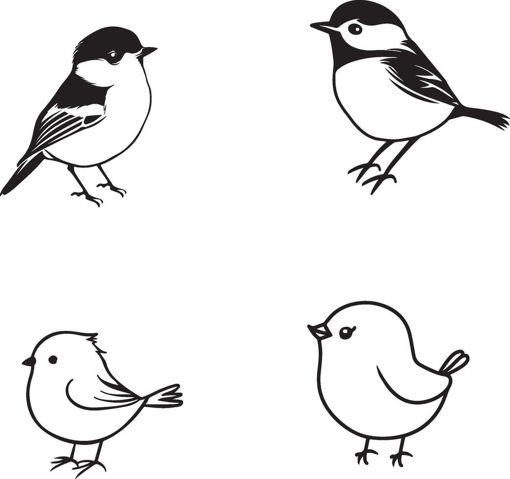 schwarz und Weiß Zeichnung von Vögel Gliederung vektor