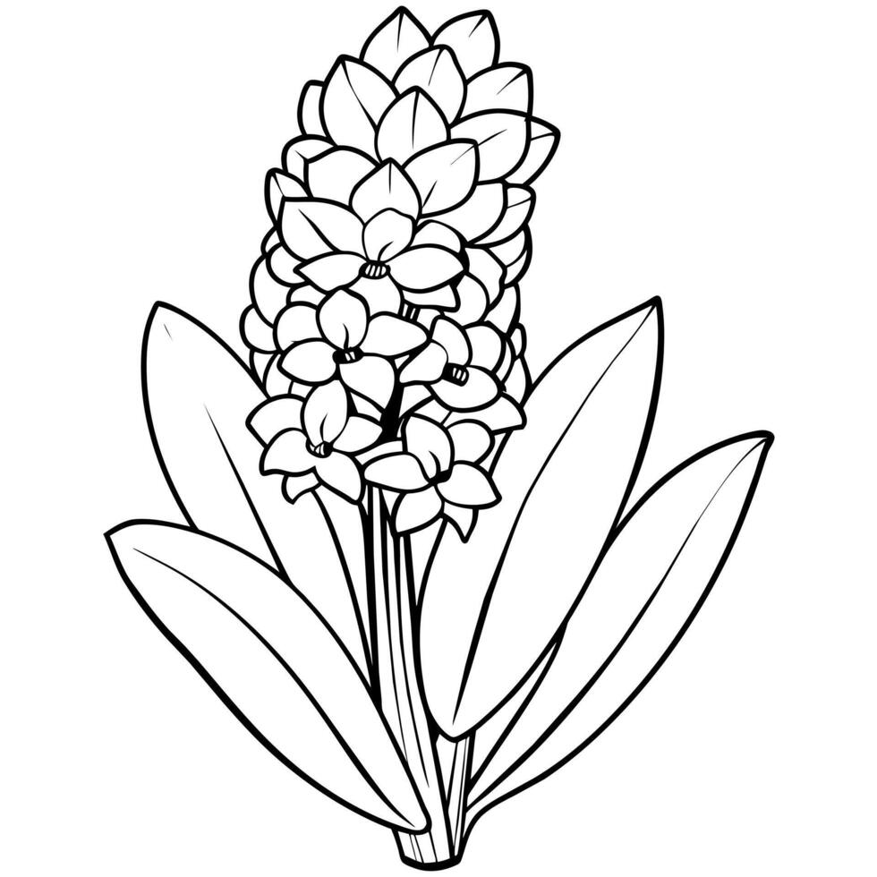 hyacint blomma översikt illustration färg bok sida design, hyacint blomma svart och vit linje konst teckning färg bok sidor för barn och vuxna vektor