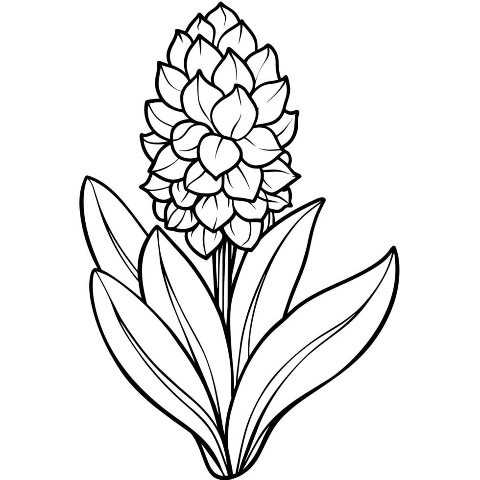 Hyazinthe Blume Gliederung Illustration Färbung Buch Seite Design, Hyazinthe Blume schwarz und Weiß Linie Kunst Zeichnung Färbung Buch Seiten zum Kinder und Erwachsene vektor