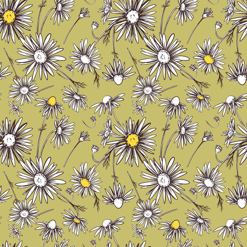 Kamille Illustration, nahtlos Muster. Gänseblümchen Rad Blumen mit Gelb Venen auf ein Grün Hintergrund. Design zum Stoff, Hintergrund, Verpackung Papier. vektor