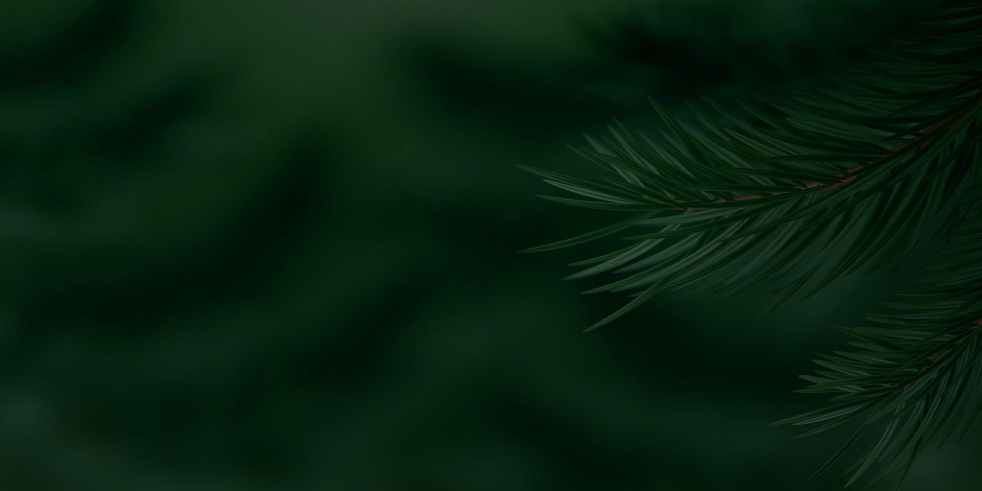 Nadelbaum Zweige Nahaufnahme. dunkler Naturhintergrund. realistisch aussehende Kiefern- oder Fichtenzweige auf unscharfem Hintergrund. üppige Vegetation in einem Nadelwald. Platz kopieren. Vektor-Illustration. vektor