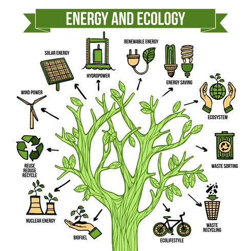 Grön energi ekologisk infografisk layout affisch vektor