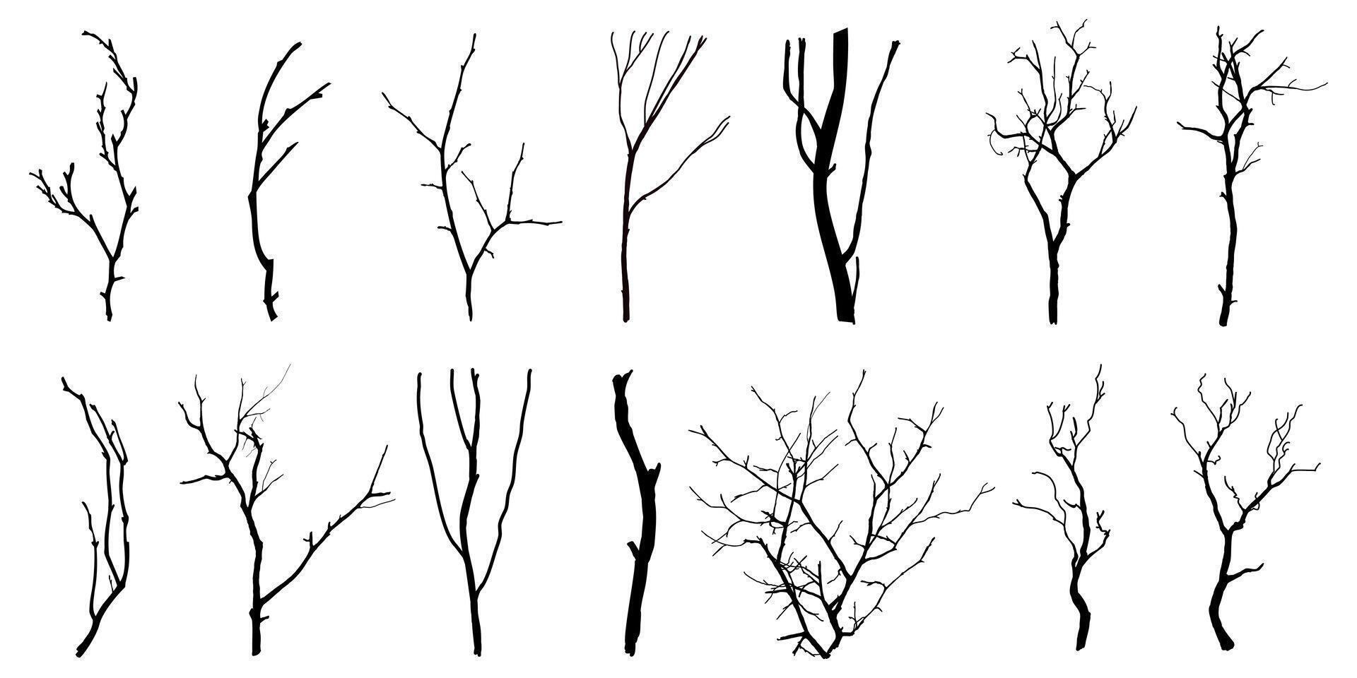 svart gren träd eller naken träd silhuetter. hand dragen isolerat illustrationer. vektor