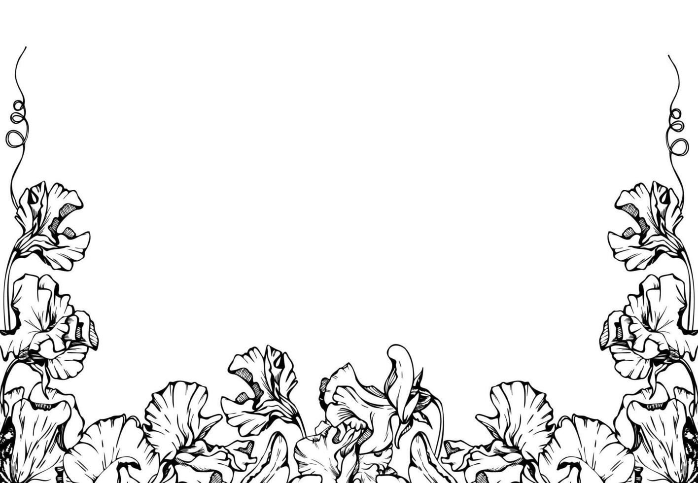 Hand gezeichnet Grafik Tinte Illustration botanisch Blumen Blätter. Süss ewig Erbse, Wicke Winde Hülsenfrucht Ranken. Rand Rahmen isoliert Weiß Hintergrund. Design Hochzeit, Karten, Blumen- Geschäft vektor