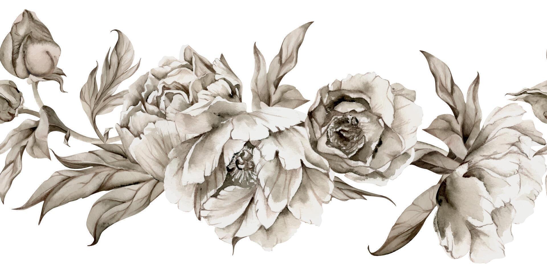 Hand gezeichnet Aquarell Grisaille einfarbig Pfingstrose Tulpe Ranunkel Blumen, Knospen und Blätter. nahtlos Banner isoliert auf Weiß Hintergrund. Einladungen, Hochzeit, Hintergrund, Blumen- Geschäft, drucken, Textil- vektor