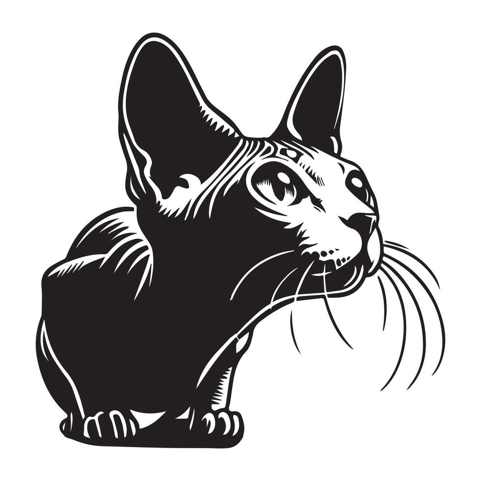 Katze - - ein neugierig Sphynx Katze Gesicht Illustration im schwarz und Weiß vektor