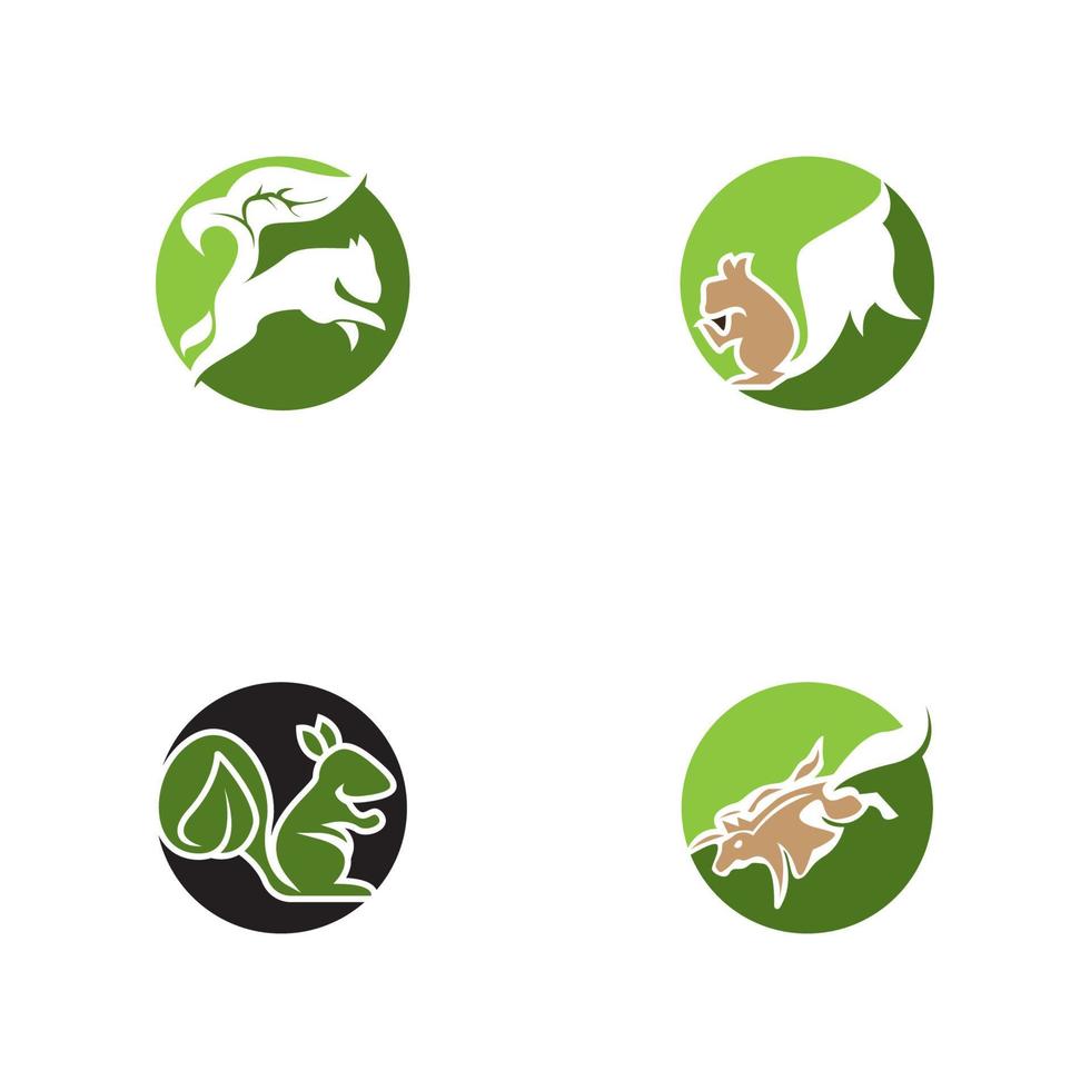 Eichhörnchen-Symbol und Symbol-Vektor-illustration vektor