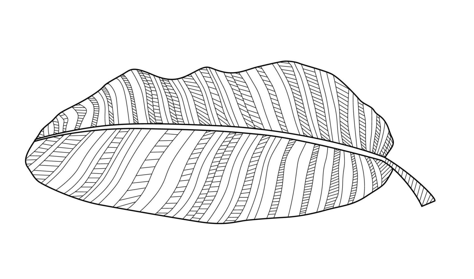 abstraktes tropisches Bananenpalmenblatt. Vektor-Illustration vektor