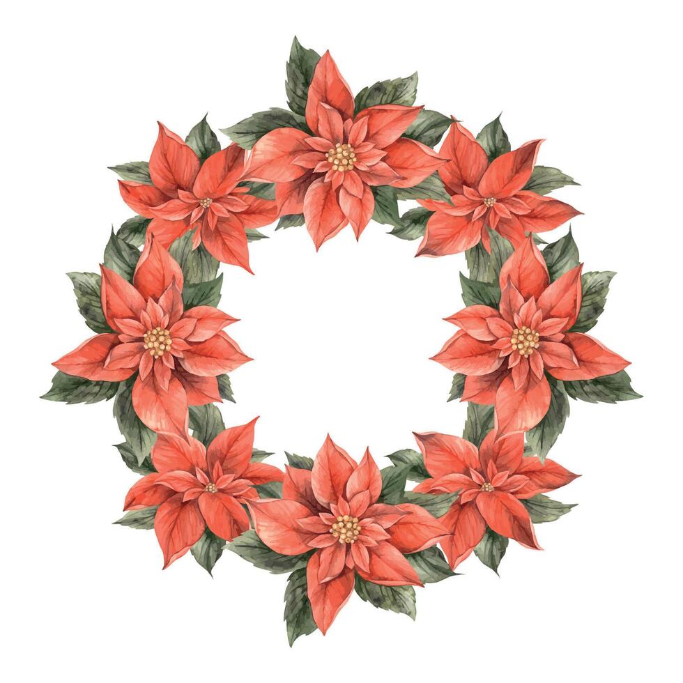 julstjärna, jul röd blomma med grön löv. vattenfärg botanisk krans i jul stil. blommig och växt trend. teckning för jul och ny år högtider, inbjudningar, kort, banderoller. vektor