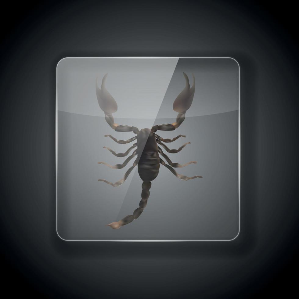 Glasrahmen auf dunklem Hintergrund mit Skorpion. Vektor-Illustration vektor
