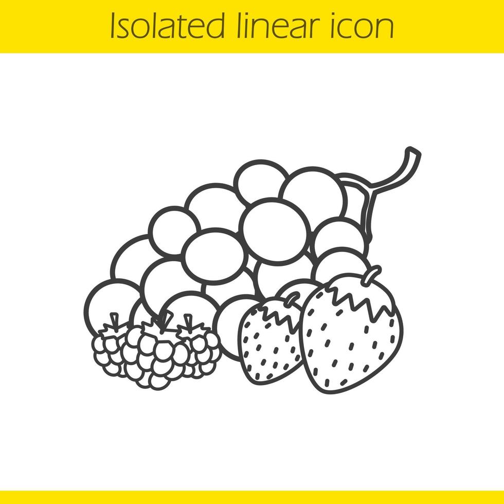 Beeren lineares Symbol. Erdbeere, Himbeere und Trauben dünne Linie Illustration. Fruchtkontursymbol. Vektor isolierte Umrisszeichnung