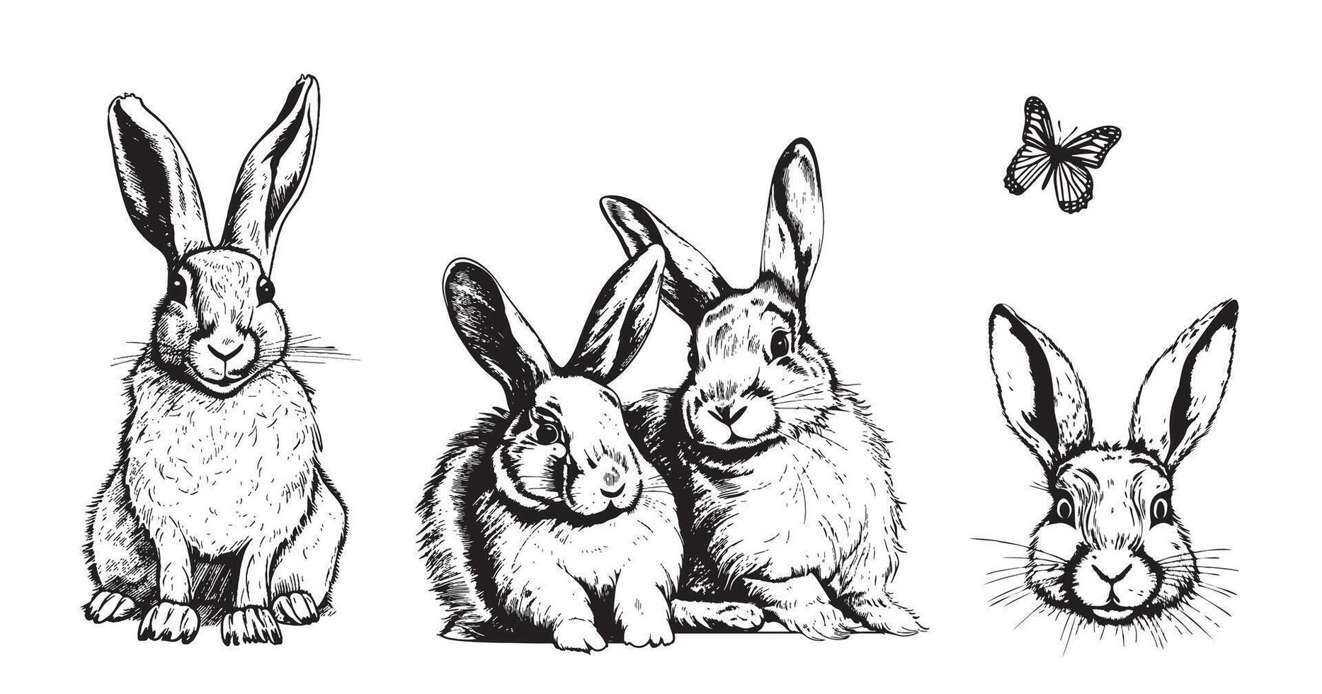 liten kanin uppsättning hand dragen skiss bruka djur illustration vektor