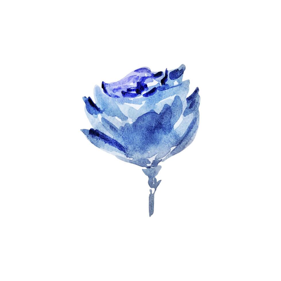 Blau Rose Aquarell blühen Blumen vektor