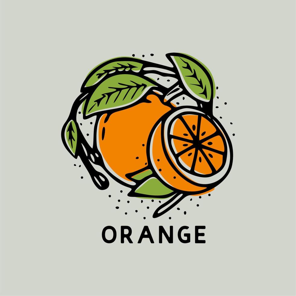 orange Frucht mit Blatt Vintage handgezeichnete Illustration vektor