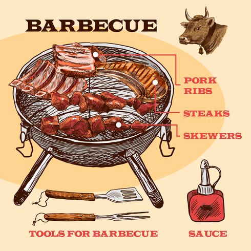 Skissa köttbbq infographic vektor