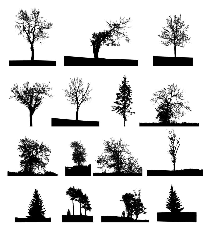 uppsättning träd isolerad på vit bakgrund. vektor illustration.