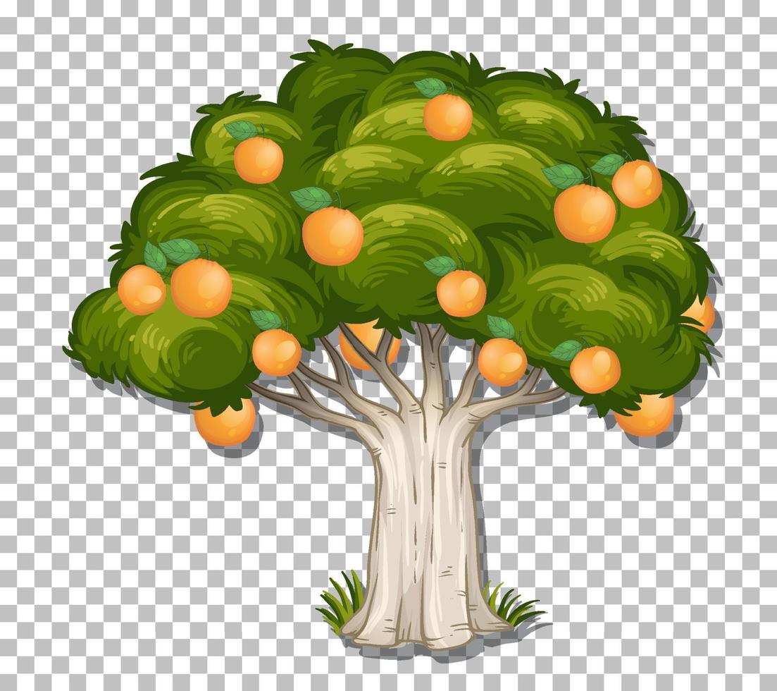 Orangenbaum auf Gitterhintergrund vektor