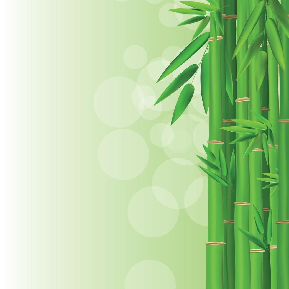 färgglada stjälkar och bambu lämnar bakgrund. vektor illustration