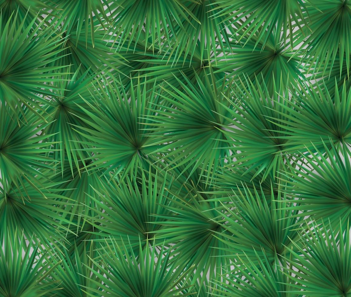 färgglad naturalistisk ram från bladet av kinesiska libistones. södra palm. vektor illustration.
