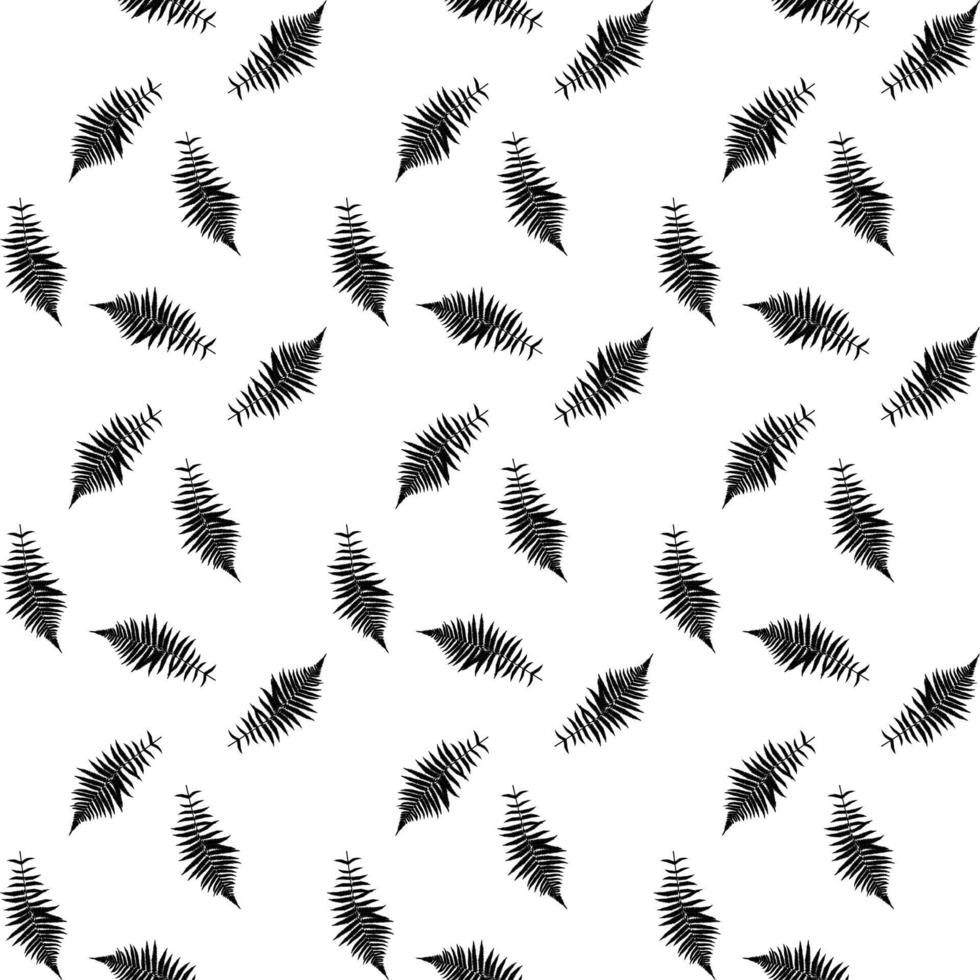 Schwarze und weiße Silhouette der Blattlibisteine der chinesischen, südlichen Palme. nahtloses Muster. Vektor-Illustration. vektor