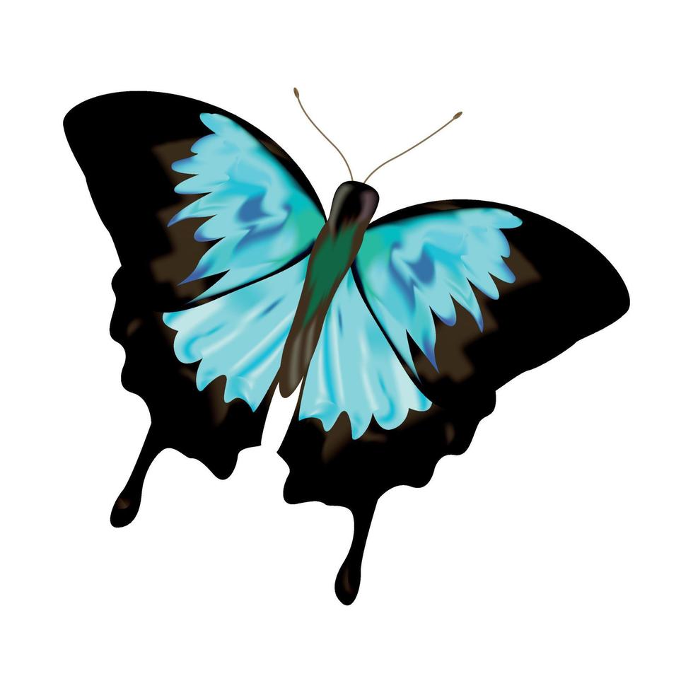 realistischer blauer Schmetterlingsvektor vektor