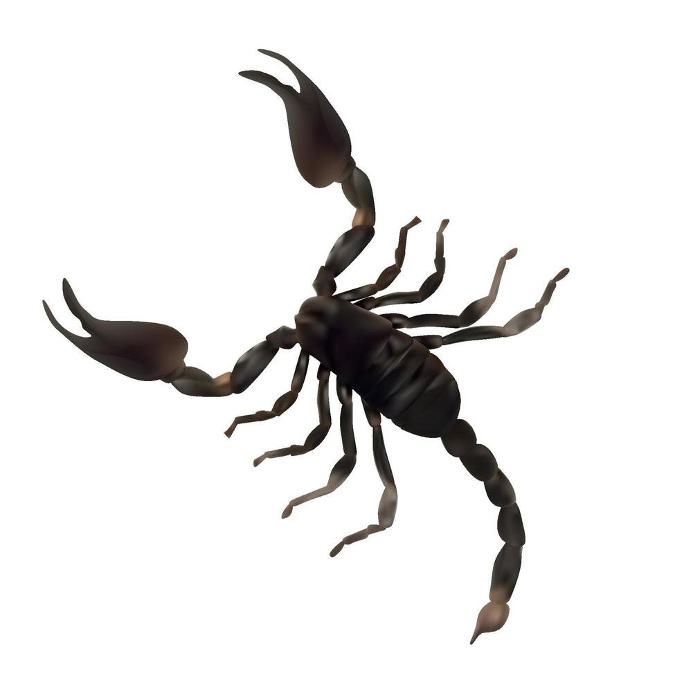 stor skorpion realistisk vektorillustration vektor