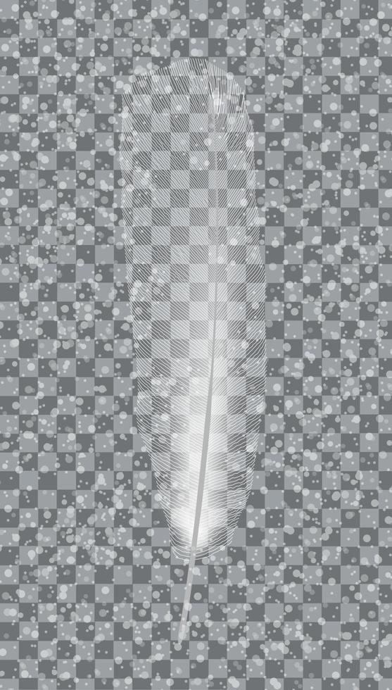 weiße Vogelfeder auf grauem Hintergrund. Vektor-Illustration. vektor