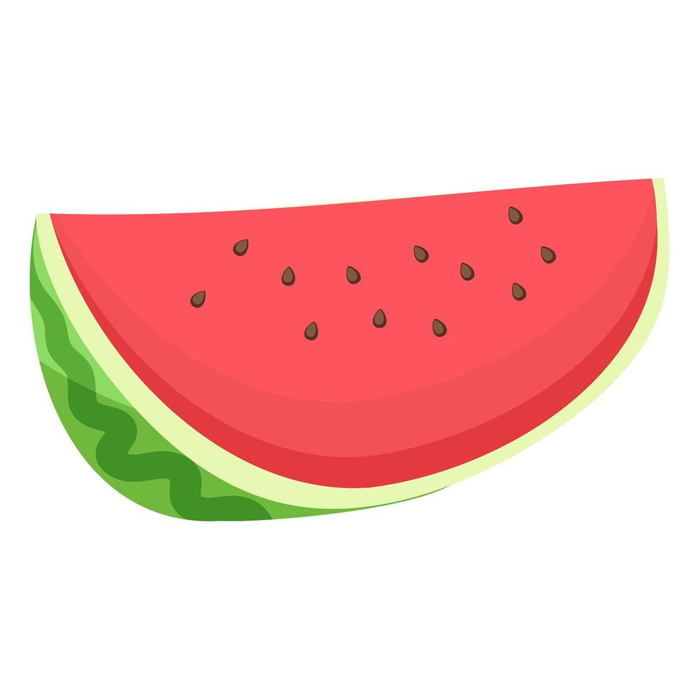 en skiva frukt vattenmelon vektor