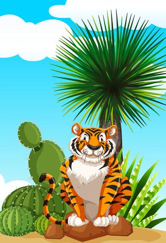 Tiger, der im Kaktusgarten sitzt vektor