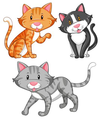 Katt med olika pälsfärger vektor