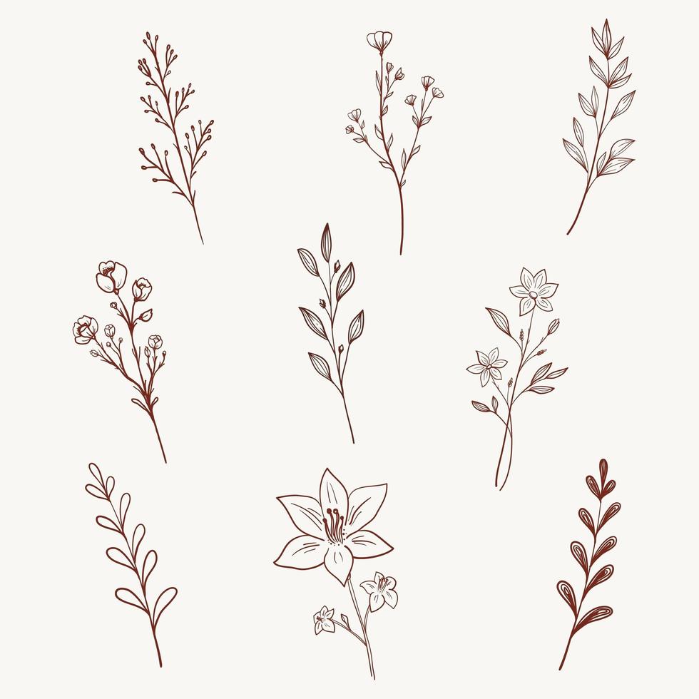minimalistische Wildblumen, Kräuter, Blätter und Zweige. Vektor-Illustration. vektor