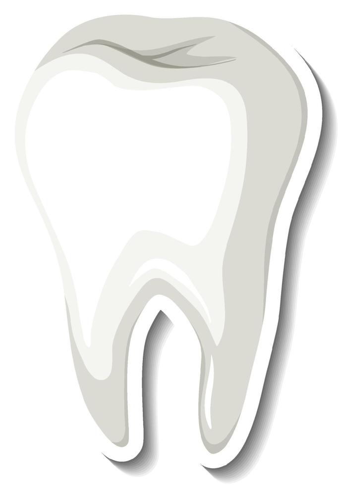 isolerade vit tand på vit bakgrund vektor