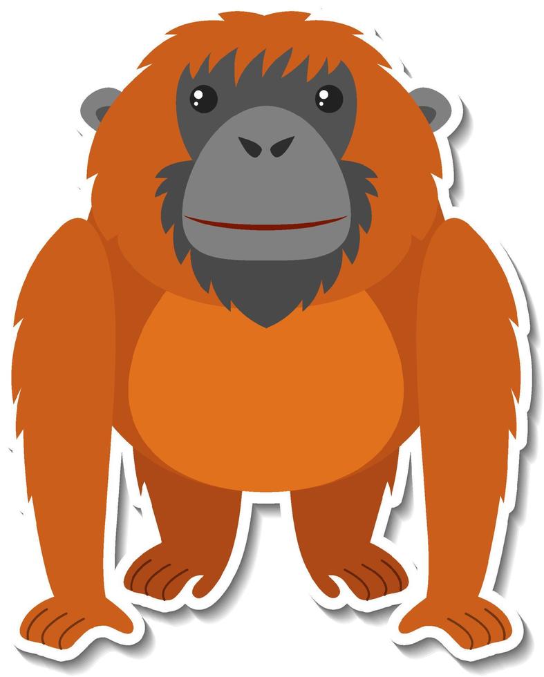 molliger Orang-Utan-Tier-Cartoon-Aufkleber vektor