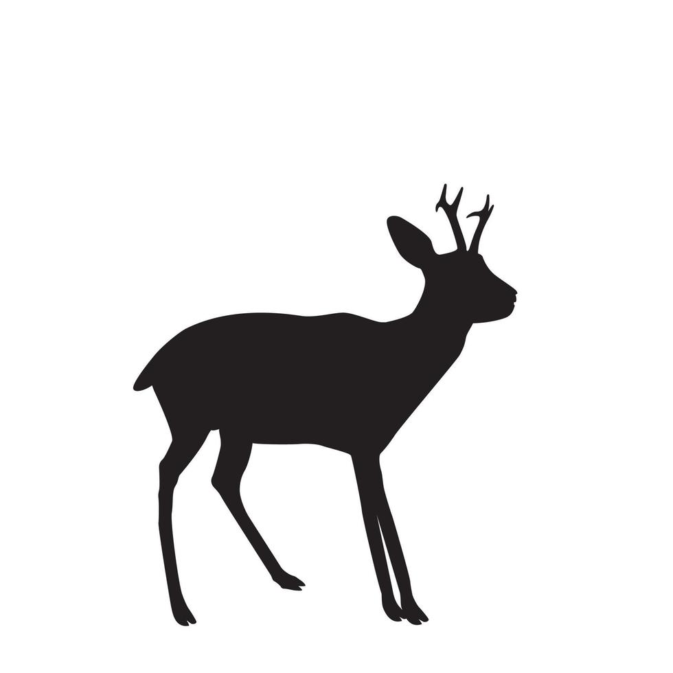 siluetten av en ung skogshjort med små växande horn. vektor illustration