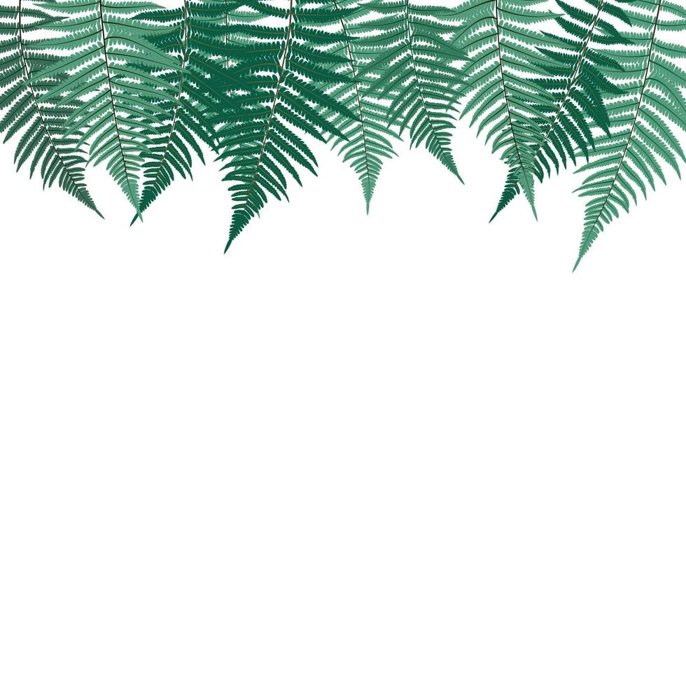 fern leaf vektor bakgrundsillustration