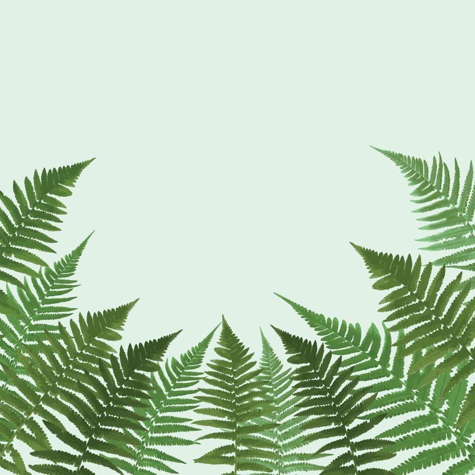 fern leaf vektor bakgrundsillustration