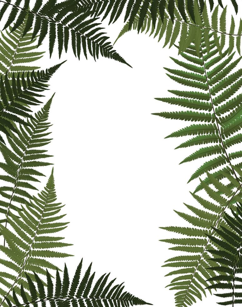 fern leaf vektor bakgrundsillustration