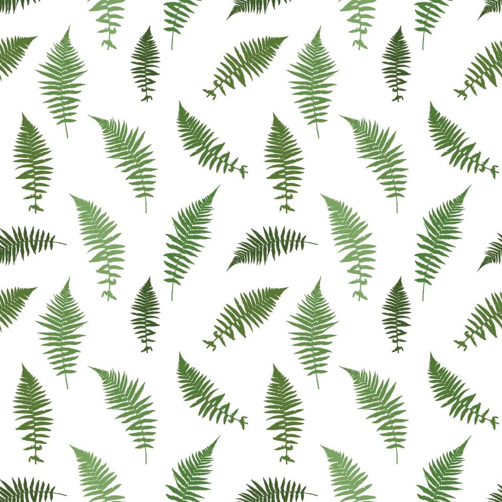 fern leaf vektor bakgrundsillustration