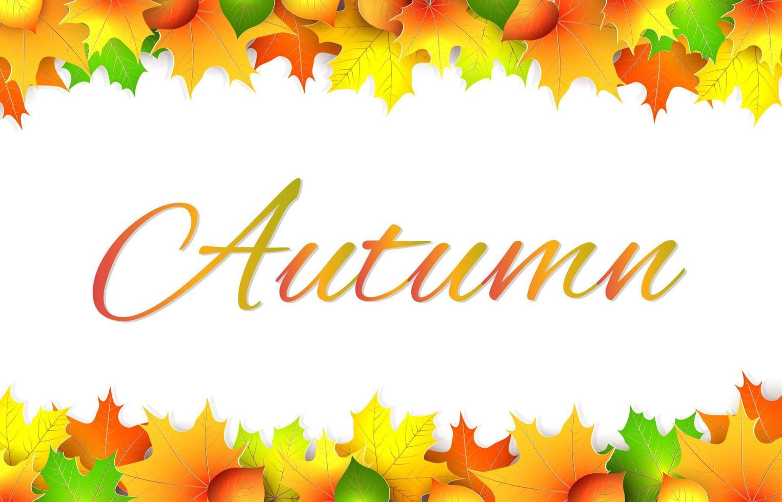 horizontaler Rahmen mit fallenden Herbstahorn- und Lindenblättern. Herbst welken, reich verziert. Vektor-Illustration vektor