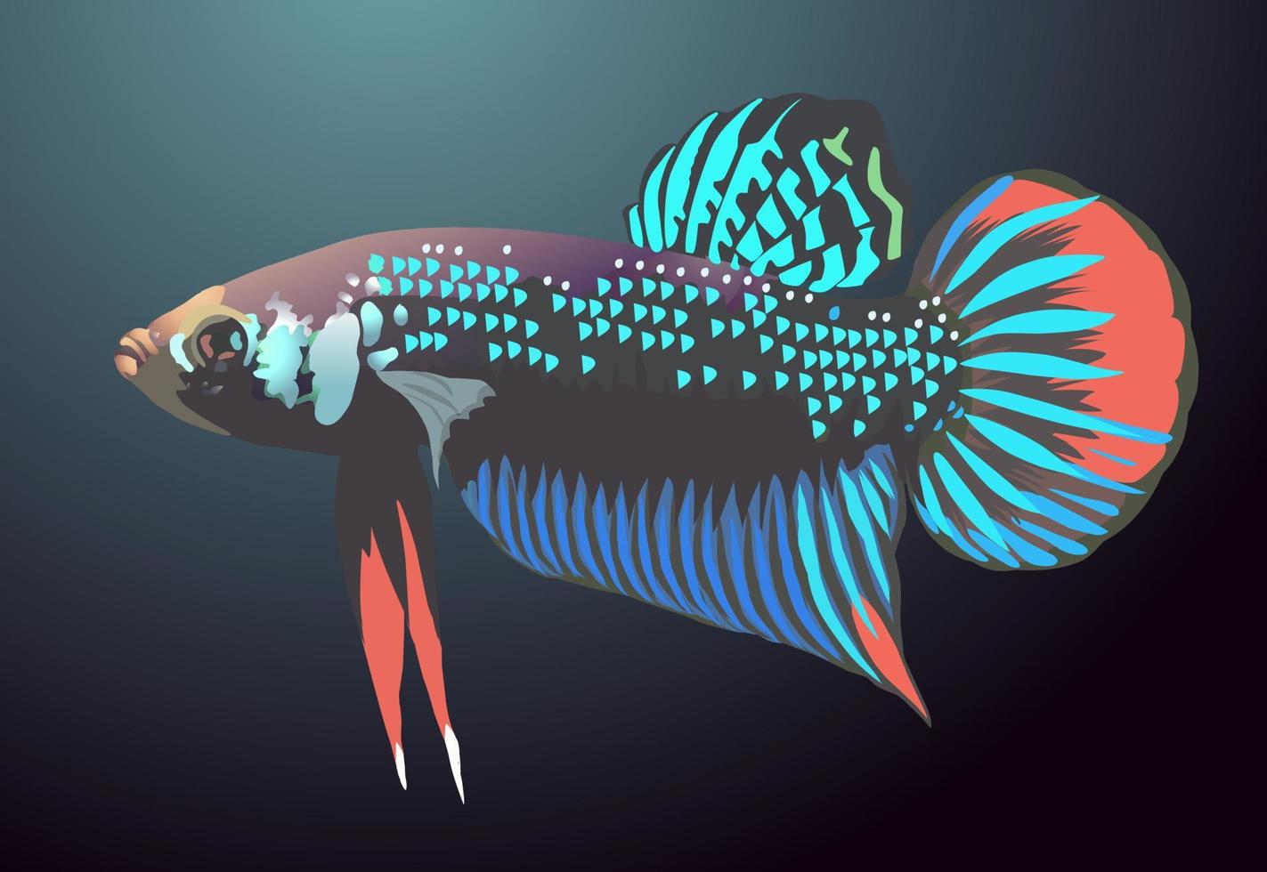 Betta Fisch Vektor-Illustration vektor