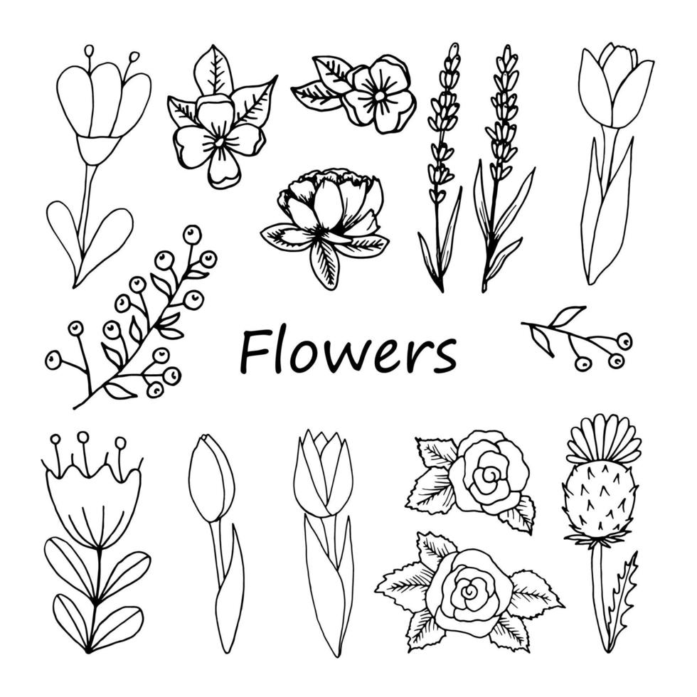 uppsättning blommor designelement. rosor, tulpaner, lavendel, tistel, glöm mig inte vektor