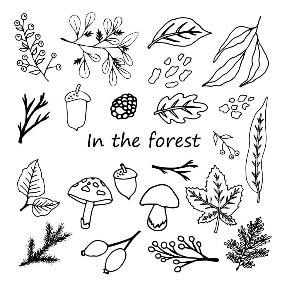 Satz von Waldpflanzen-Designelementen, Blättern, Ästen, Beeren, Pilzen, Eicheln vektor